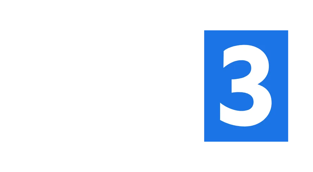 Level 3